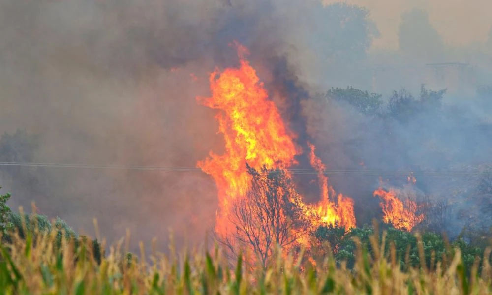 Καβάλα: Άμεσα τέθηκε υπό έλεγχο πυρκαγιά σε χαμηλή βλάστηση στο Ορφάνιο